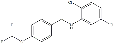 2,5-dichloro-N-{[4-(difluoromethoxy)phenyl]methyl}aniline Struktur