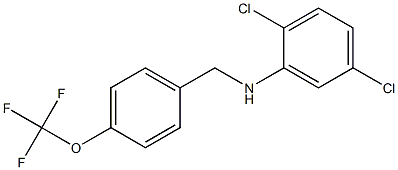 2,5-dichloro-N-{[4-(trifluoromethoxy)phenyl]methyl}aniline Struktur