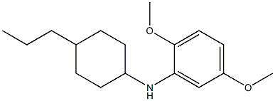 2,5-dimethoxy-N-(4-propylcyclohexyl)aniline 化学構造式