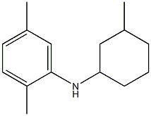 2,5-dimethyl-N-(3-methylcyclohexyl)aniline Structure