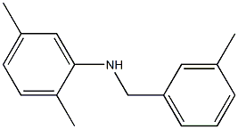 2,5-dimethyl-N-[(3-methylphenyl)methyl]aniline 结构式