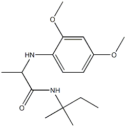 2-[(2,4-dimethoxyphenyl)amino]-N-(2-methylbutan-2-yl)propanamide Struktur