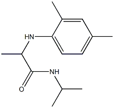 2-[(2,4-dimethylphenyl)amino]-N-(propan-2-yl)propanamide 结构式