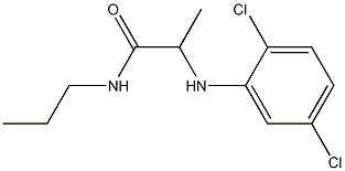 2-[(2,5-dichlorophenyl)amino]-N-propylpropanamide Struktur
