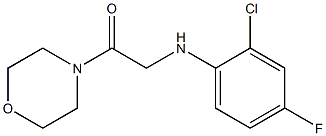 2-[(2-chloro-4-fluorophenyl)amino]-1-(morpholin-4-yl)ethan-1-one Struktur