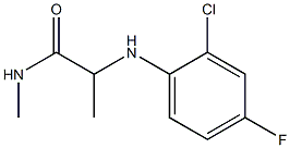 2-[(2-chloro-4-fluorophenyl)amino]-N-methylpropanamide