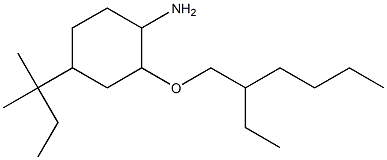 2-[(2-ethylhexyl)oxy]-4-(2-methylbutan-2-yl)cyclohexan-1-amine|