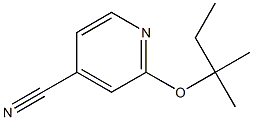 2-[(2-methylbutan-2-yl)oxy]pyridine-4-carbonitrile 化学構造式