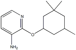 2-[(3,3,5-trimethylcyclohexyl)oxy]pyridin-3-amine Structure