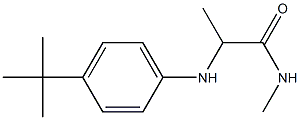 2-[(4-tert-butylphenyl)amino]-N-methylpropanamide 结构式