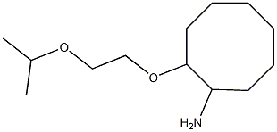2-[2-(propan-2-yloxy)ethoxy]cyclooctan-1-amine