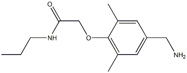 2-[4-(aminomethyl)-2,6-dimethylphenoxy]-N-propylacetamide Structure