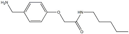 2-[4-(aminomethyl)phenoxy]-N-pentylacetamide