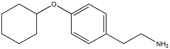 2-[4-(cyclohexyloxy)phenyl]ethan-1-amine,,结构式