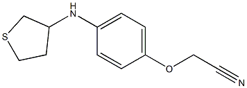 2-[4-(thiolan-3-ylamino)phenoxy]acetonitrile|