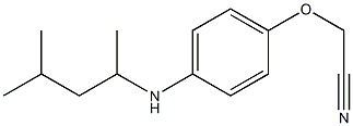 2-{4-[(4-methylpentan-2-yl)amino]phenoxy}acetonitrile 结构式