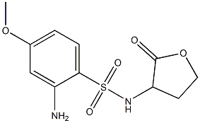 2-amino-4-methoxy-N-(2-oxooxolan-3-yl)benzene-1-sulfonamide 结构式