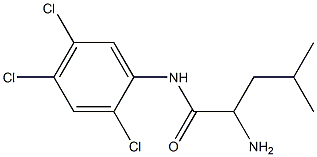 2-amino-4-methyl-N-(2,4,5-trichlorophenyl)pentanamide Structure