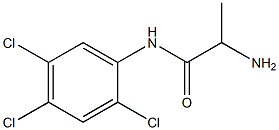 2-amino-N-(2,4,5-trichlorophenyl)propanamide Struktur