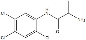  2-amino-N-(2,4,5-trichlorophenyl)propanamide