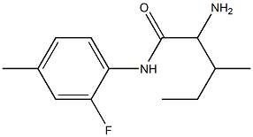 2-amino-N-(2-fluoro-4-methylphenyl)-3-methylpentanamide|