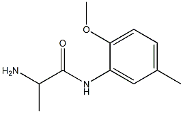 2-amino-N-(2-methoxy-5-methylphenyl)propanamide 化学構造式