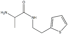 2-amino-N-(2-thien-2-ylethyl)propanamide Structure