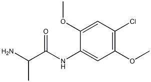 2-amino-N-(4-chloro-2,5-dimethoxyphenyl)propanamide Structure