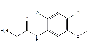 2-amino-N-(4-chloro-2,5-dimethoxyphenyl)propanamide,,结构式