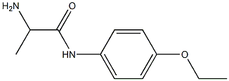 2-amino-N-(4-ethoxyphenyl)propanamide 化学構造式