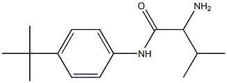 2-amino-N-(4-tert-butylphenyl)-3-methylbutanamide Structure