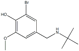 2-bromo-4-[(tert-butylamino)methyl]-6-methoxyphenol Struktur