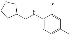 2-bromo-4-methyl-N-(oxolan-3-ylmethyl)aniline 化学構造式