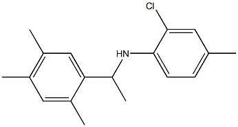 2-chloro-4-methyl-N-[1-(2,4,5-trimethylphenyl)ethyl]aniline 化学構造式
