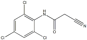 2-cyano-N-(2,4,6-trichlorophenyl)acetamide