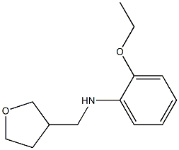 2-ethoxy-N-(oxolan-3-ylmethyl)aniline 化学構造式
