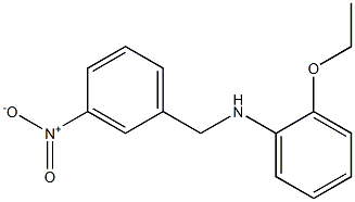 2-ethoxy-N-[(3-nitrophenyl)methyl]aniline 化学構造式