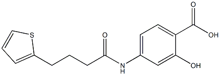 2-hydroxy-4-[4-(thiophen-2-yl)butanamido]benzoic acid Struktur