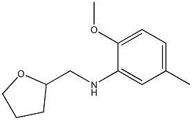 2-methoxy-5-methyl-N-(oxolan-2-ylmethyl)aniline Struktur