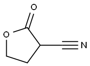 2-oxooxolane-3-carbonitrile
