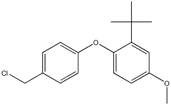 2-tert-butyl-1-[4-(chloromethyl)phenoxy]-4-methoxybenzene 化学構造式