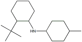 2-tert-butyl-N-(4-methylcyclohexyl)cyclohexan-1-amine|