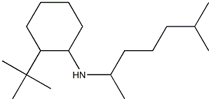 2-tert-butyl-N-(6-methylheptan-2-yl)cyclohexan-1-amine 化学構造式