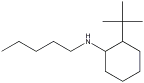 2-tert-butyl-N-pentylcyclohexan-1-amine,,结构式