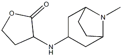 3-({8-methyl-8-azabicyclo[3.2.1]octan-3-yl}amino)oxolan-2-one Structure