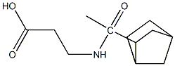 3-(1-{bicyclo[2.2.1]heptan-2-yl}acetamido)propanoic acid 结构式