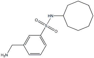 3-(aminomethyl)-N-cyclooctylbenzene-1-sulfonamide 结构式