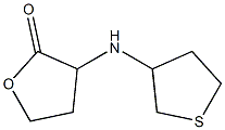3-(thiolan-3-ylamino)oxolan-2-one|