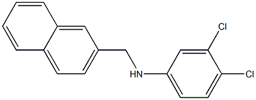 3,4-dichloro-N-(naphthalen-2-ylmethyl)aniline 化学構造式