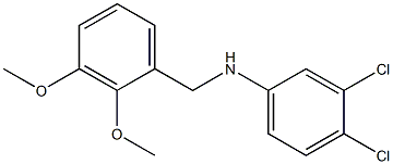 3,4-dichloro-N-[(2,3-dimethoxyphenyl)methyl]aniline Struktur